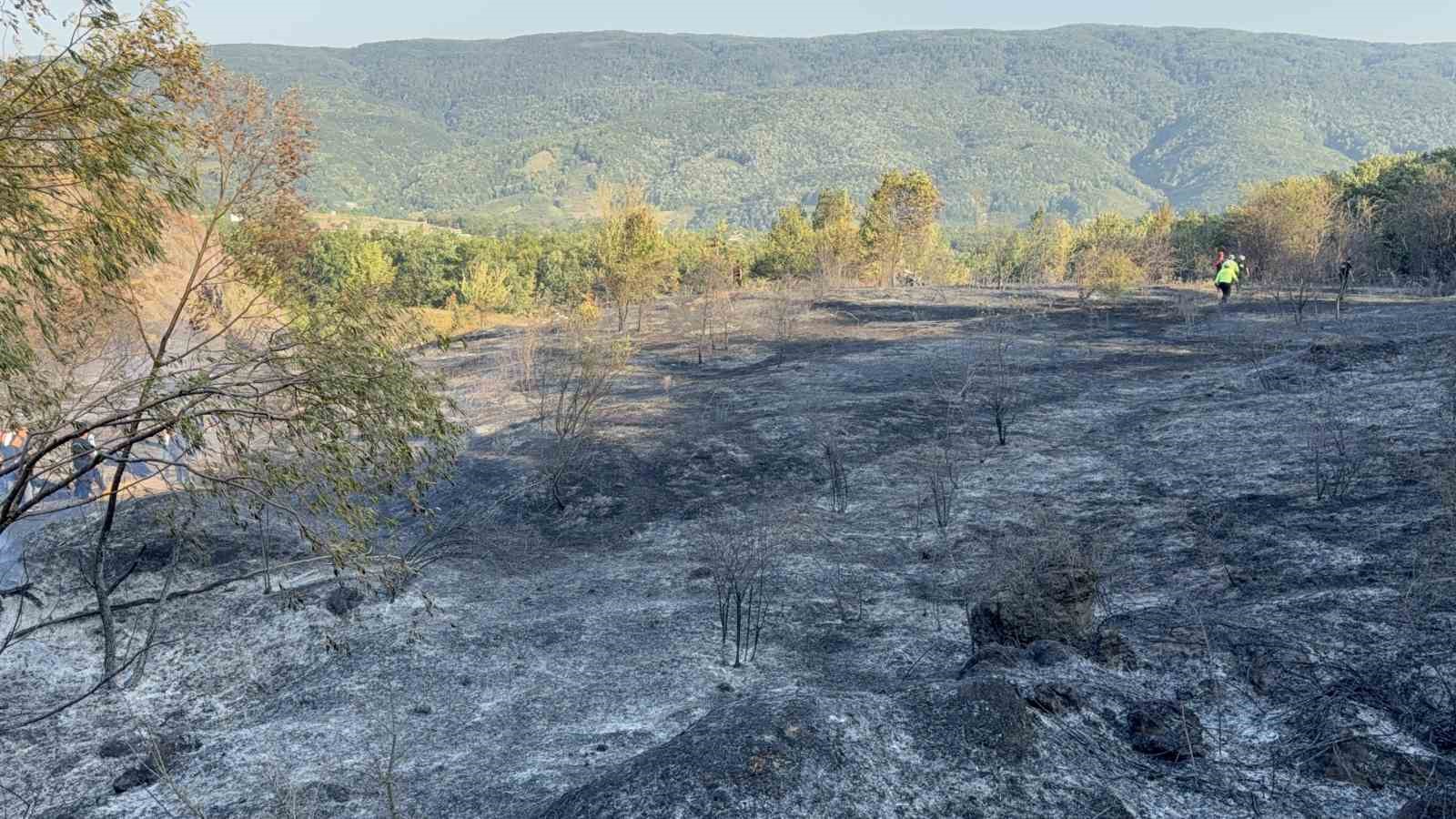 Düzce-Sakarya sınırındaki orman yangını kontrol altına alındı 