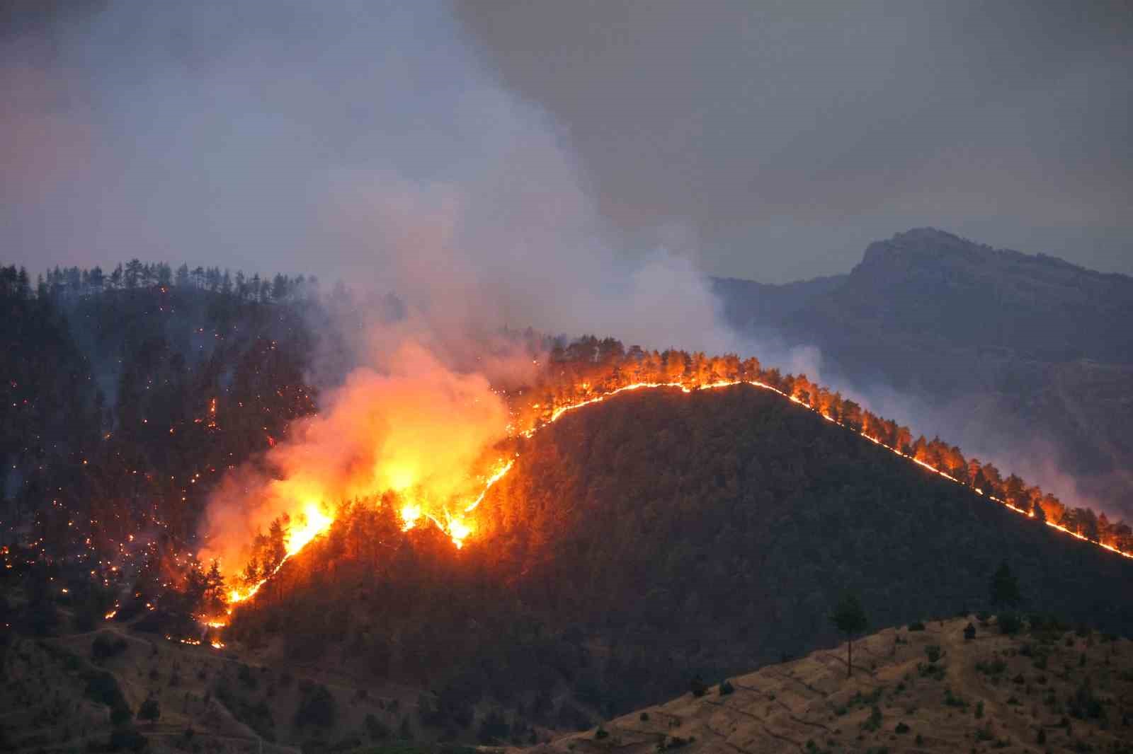 Kahramanmaraş’ta orman yangınına müdahale sürüyor 