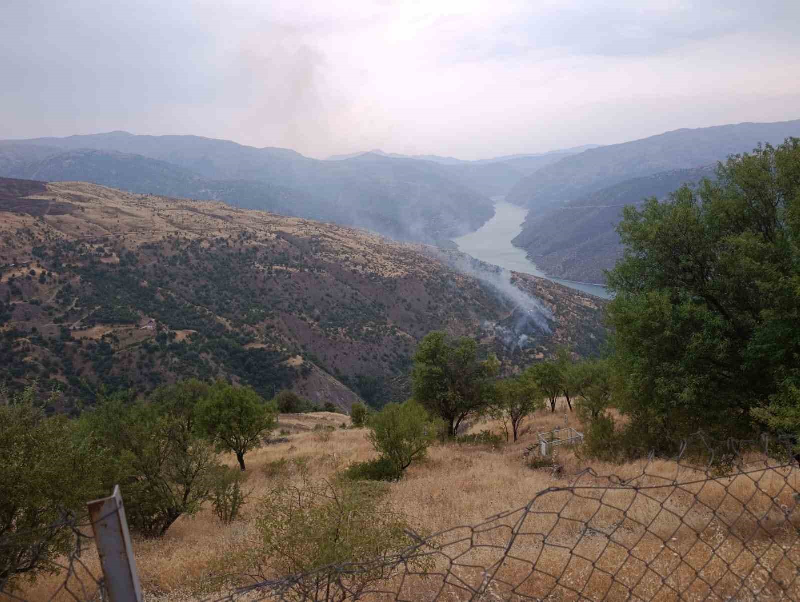 Ahır ve samanlıkta çıkan yangın ormanlık alana sıçradı, müdahale sürüyor 
