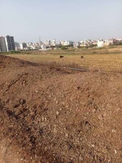 Mahalleye atılan tavuk pisliği kokusu vatandaşı çileden çıkardı 