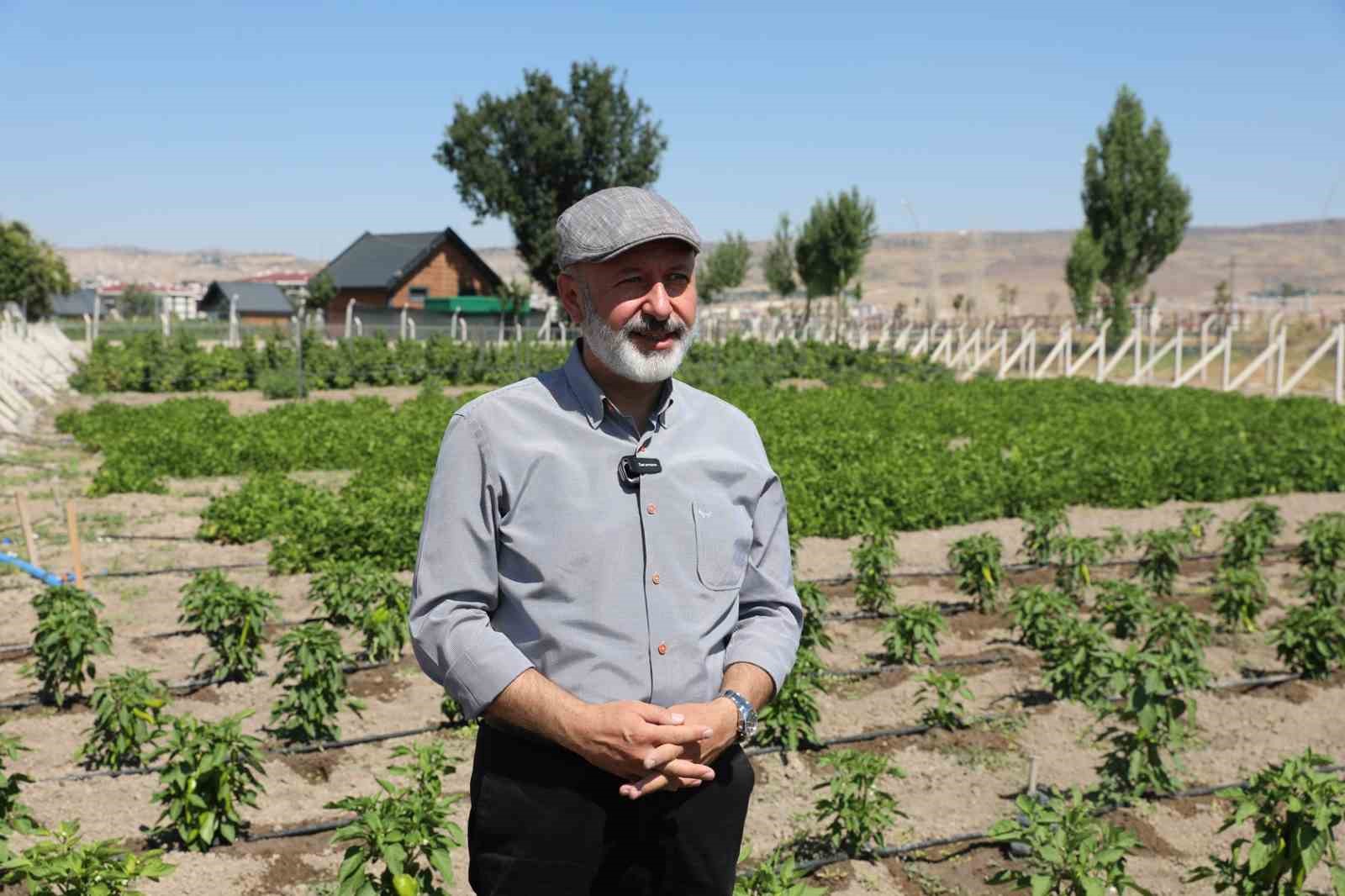 Başkan Çolakbayrakdar: Ata tohumlarımızı yaşatıyor, geleceğe taşıyoruz
