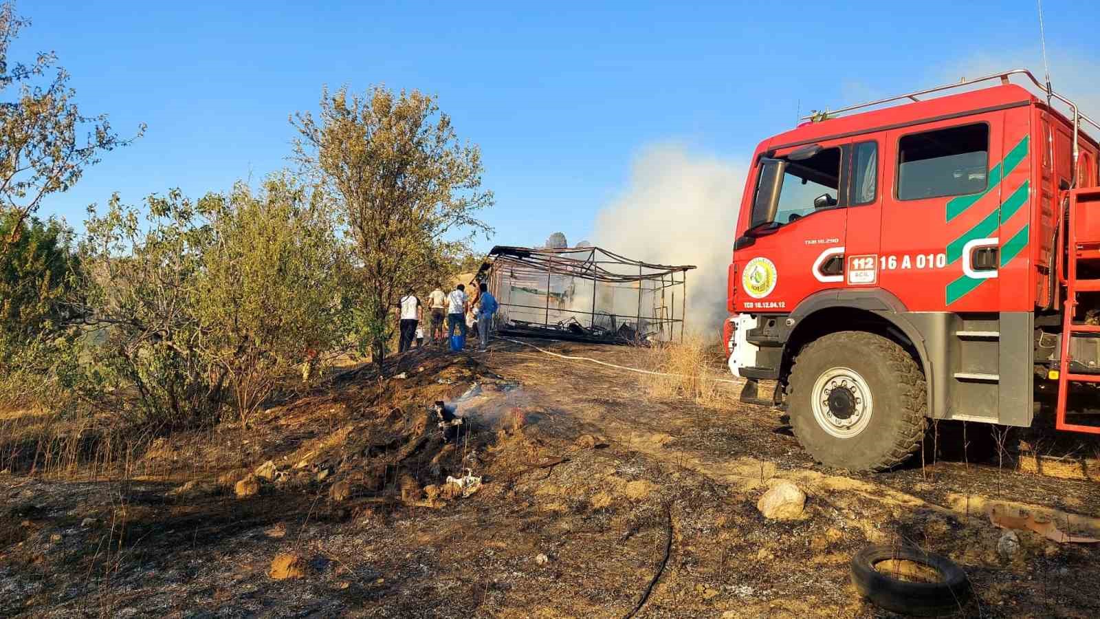 Bilecik’te çıkan orman yangını kontrol altına alındı 