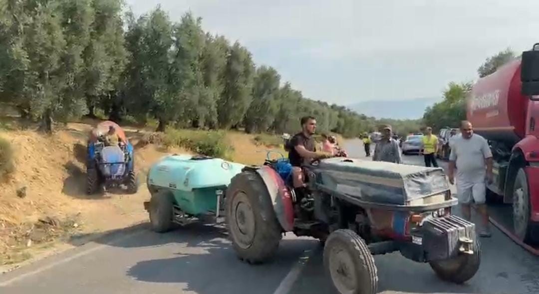 İznik’te çıkan yangın kontrol altına alındı 