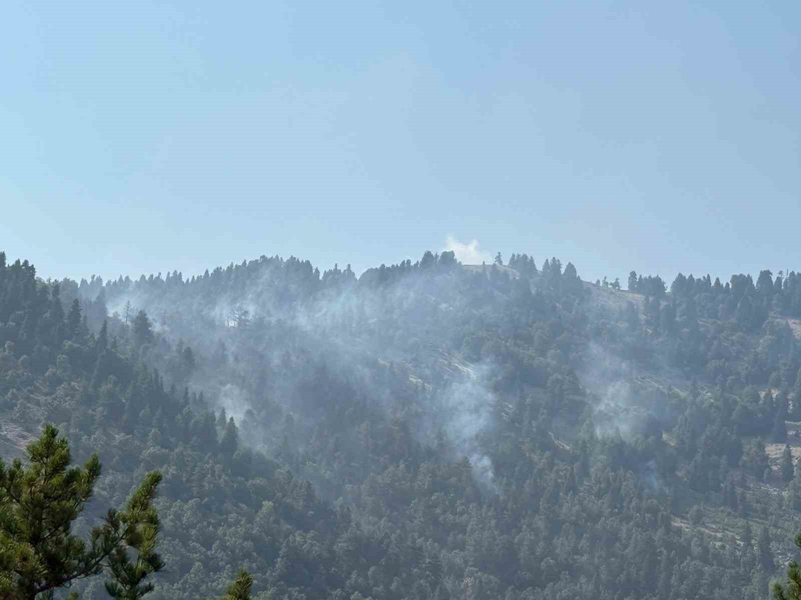 Osmaniye’deki orman yangını kontrol altına alındı 