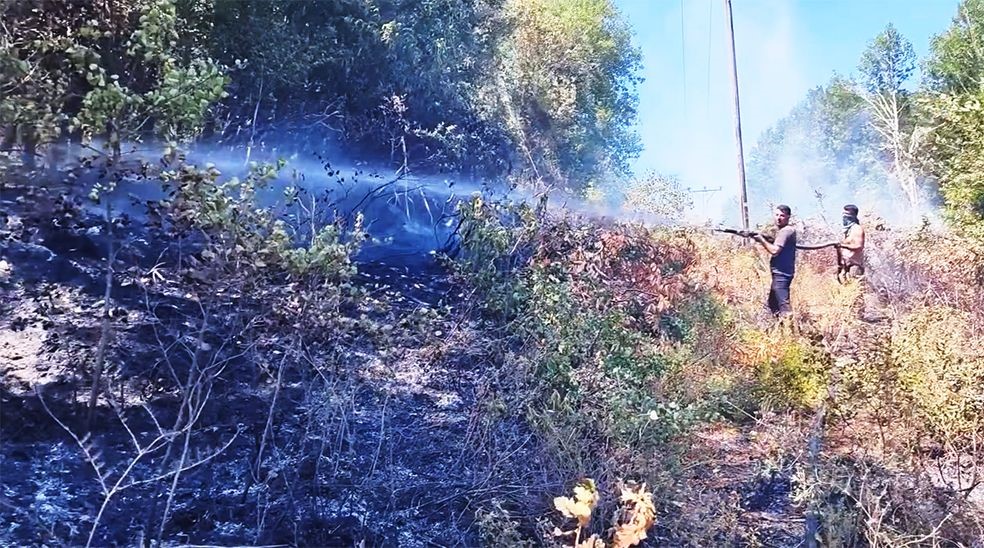 Kastamonu’da elektrik tellerinin kopması sebebiyle ormanlık alanda çıkan yangın söndürüldü 