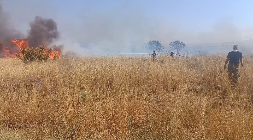 Balıkesir’de mera yangını 
