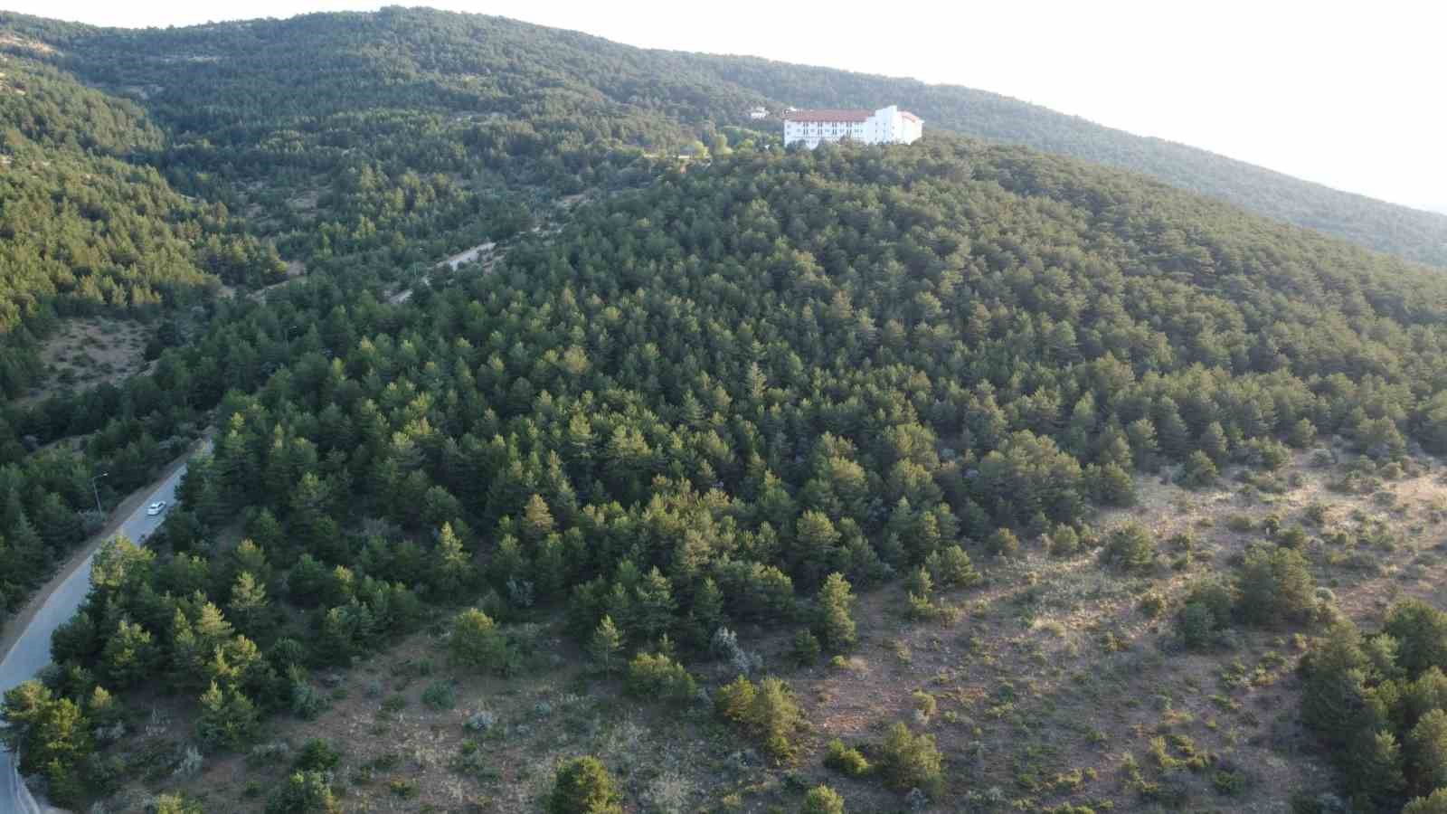 Yozgat Çamlık Milli Parkı’nda ateş yasağı etkili oldu: Vatandaşlar uygulamadan memnun 