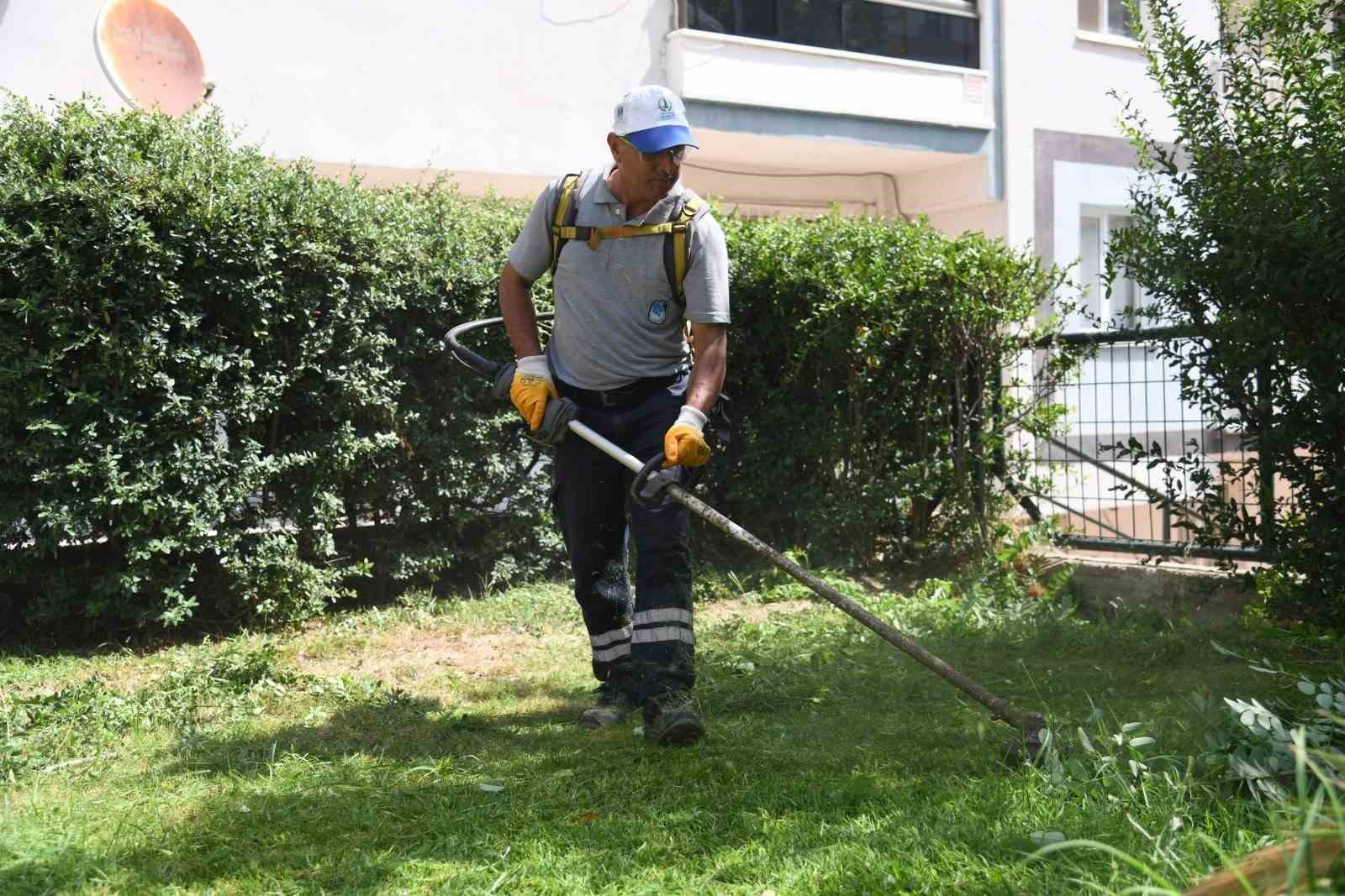 Yeşil bir Yunusemre için çalışmalar aralıksız devam ediyor 