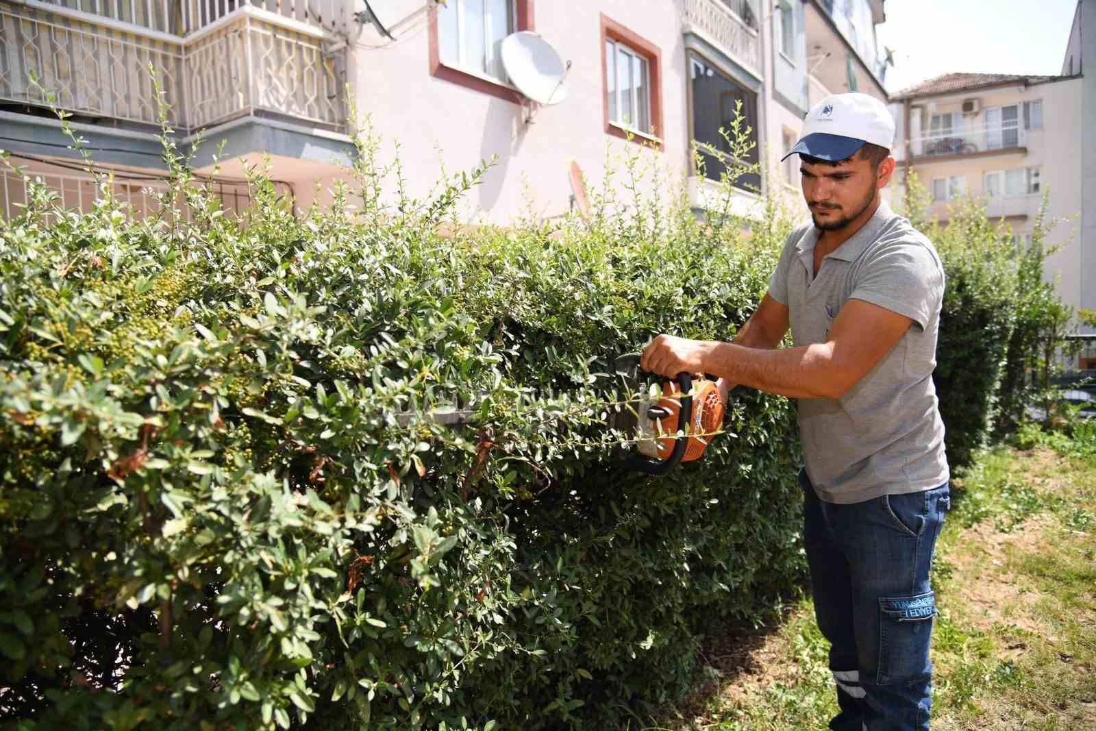 Yeşil bir Yunusemre için çalışmalar aralıksız devam ediyor 