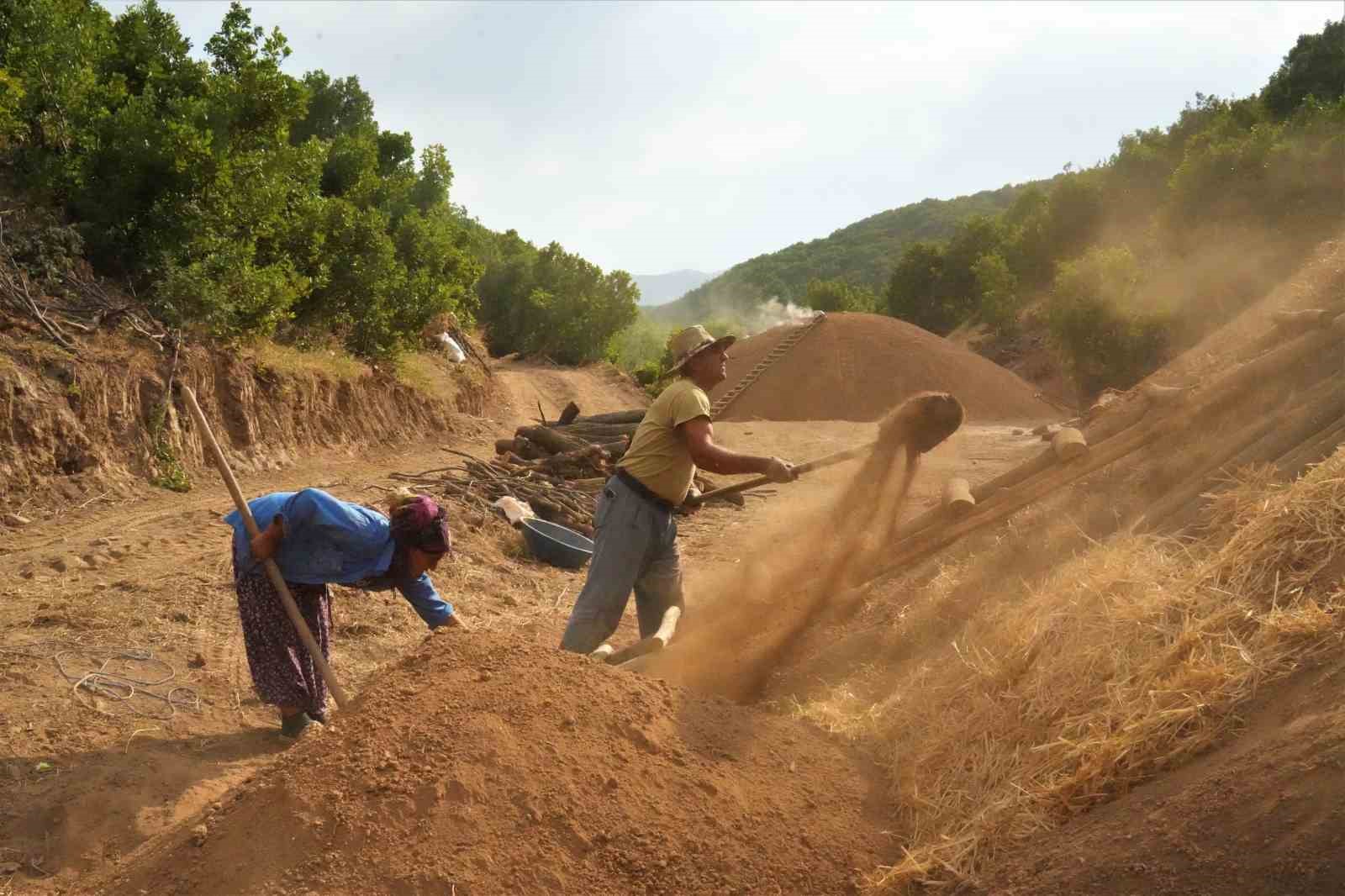 Muş dağlarında mangal kömürü üretimi 