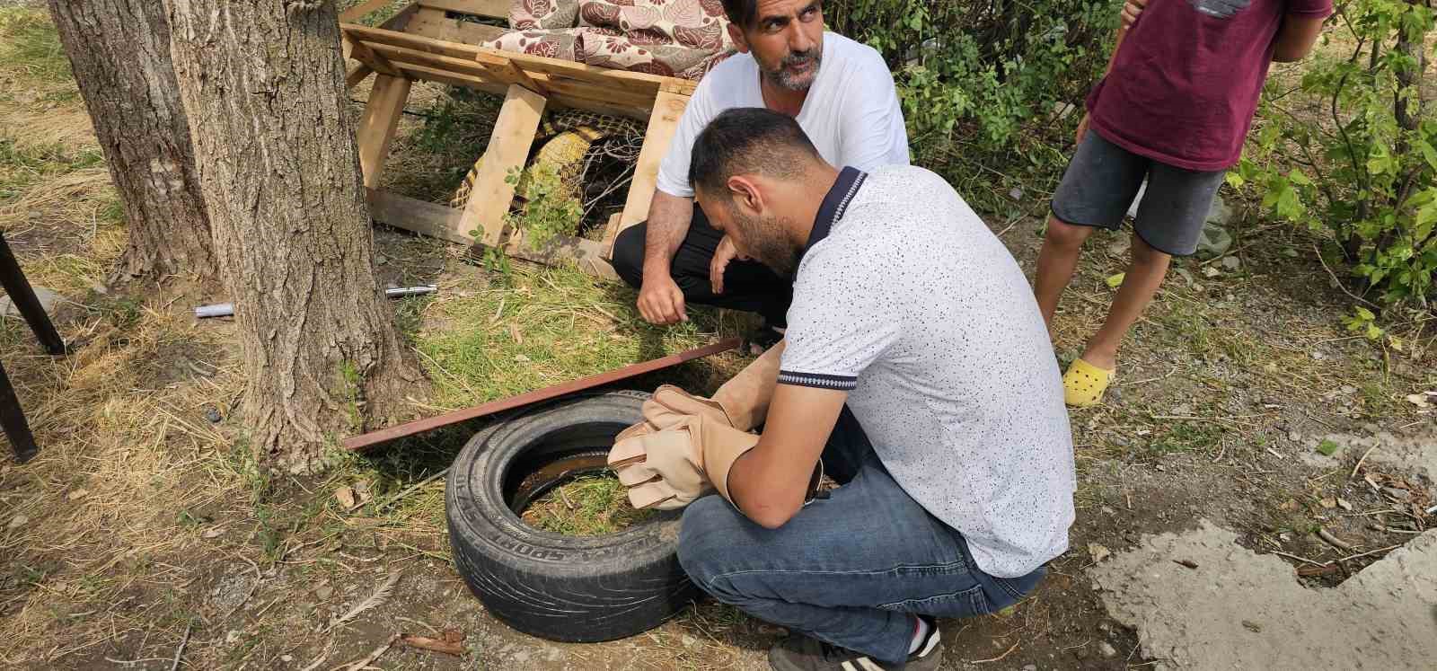 Duyarlı vatandaş yaralı atmacayı besleyip yetkililere teslim etti 
