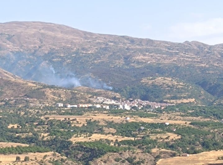 Malatya’da orman yangınına havadan müdahale 