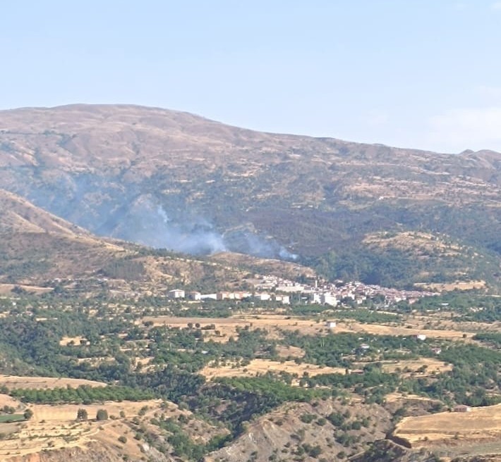 Malatya’da orman yangınına havadan müdahale 