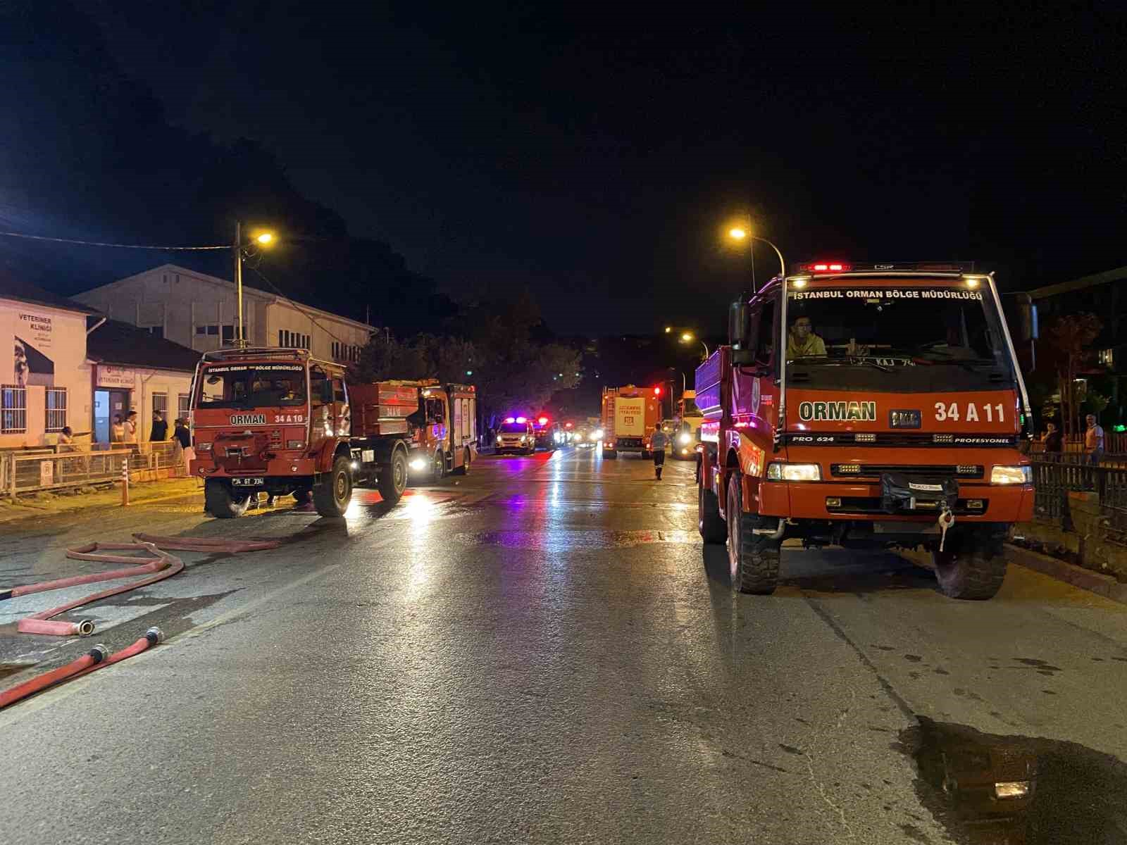 Beykoz’da ağaçlık alanda çıkan yangın söndürüldü 