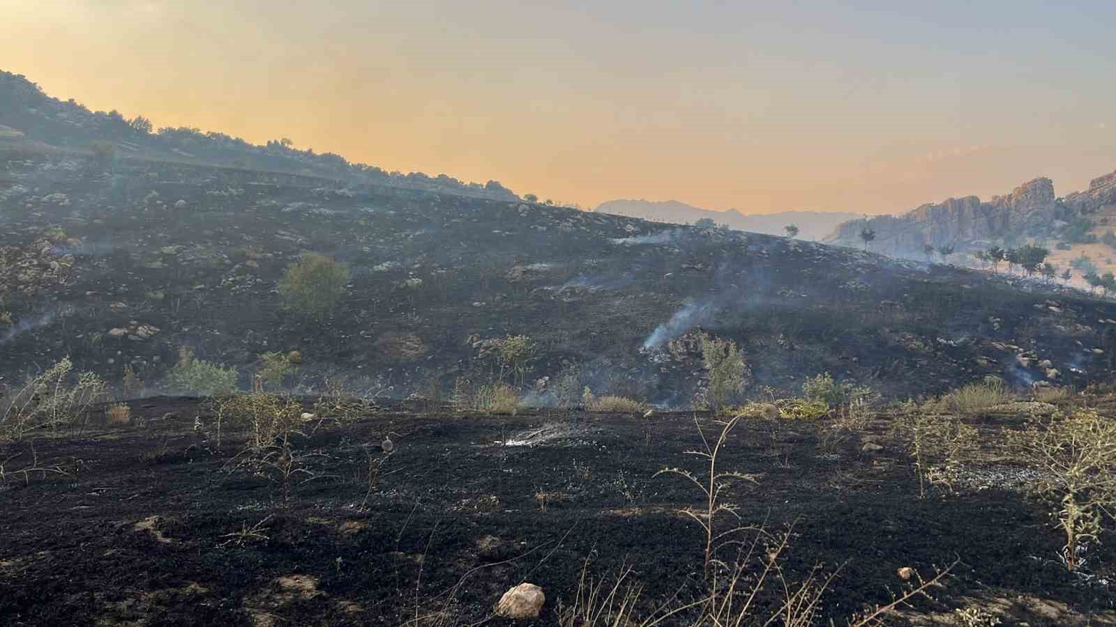 Diyarbakır’da merada başlayan yangın ormanlık alana yayıldı