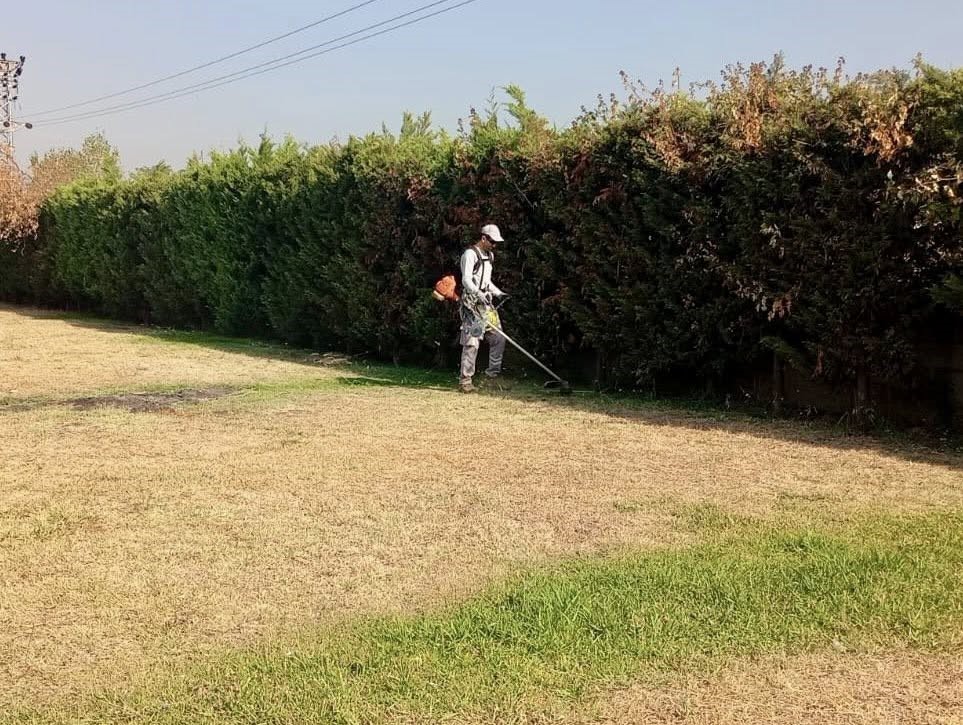 Körfez’de yeşil alanlarda bakım ve çim biçme çalışması 