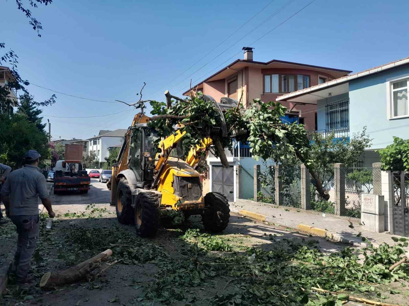 Bitkisel atıklar komposta dönüştürülerek geri kazanılıyor 