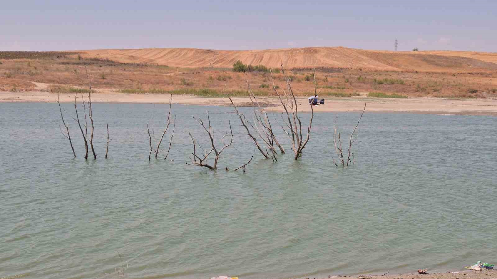Tekirdağ’da kuruyan Türkmenli Gölet’inde ağaçlar ortaya çıktı 
