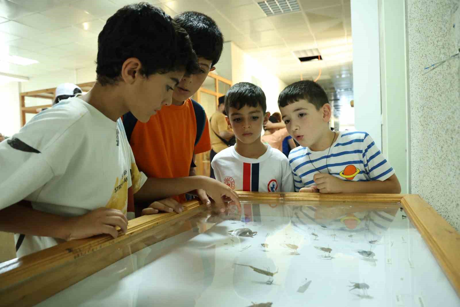 Dondurulmuş hayvan müzesine büyük ilgi 