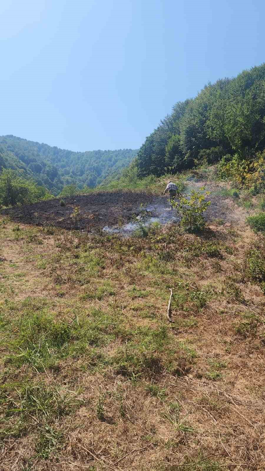Bartın’da anız yangını ormana sıçramadan söndürüldü 