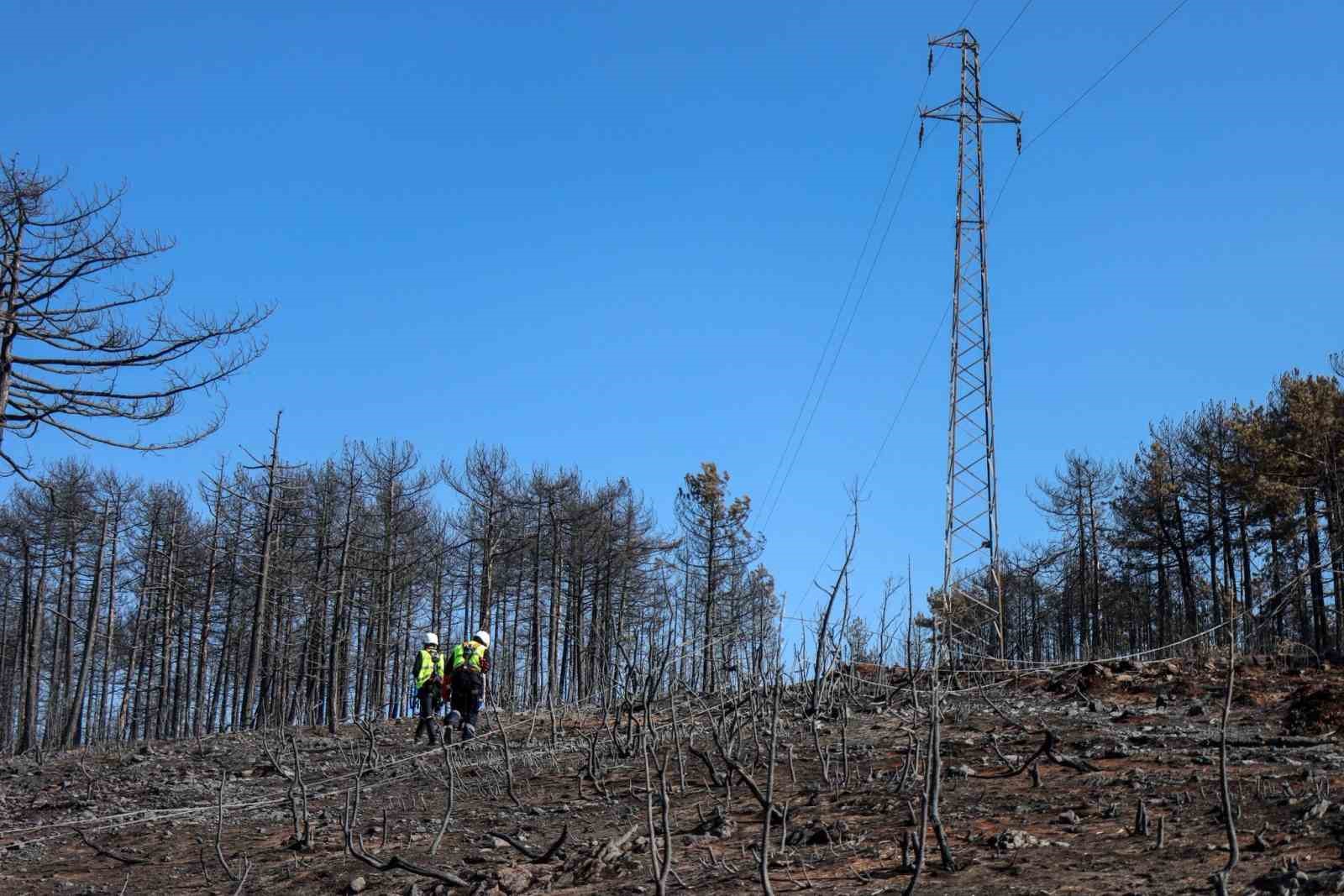Yangın bölgesinde enerji hatlarının onarımı başladı 