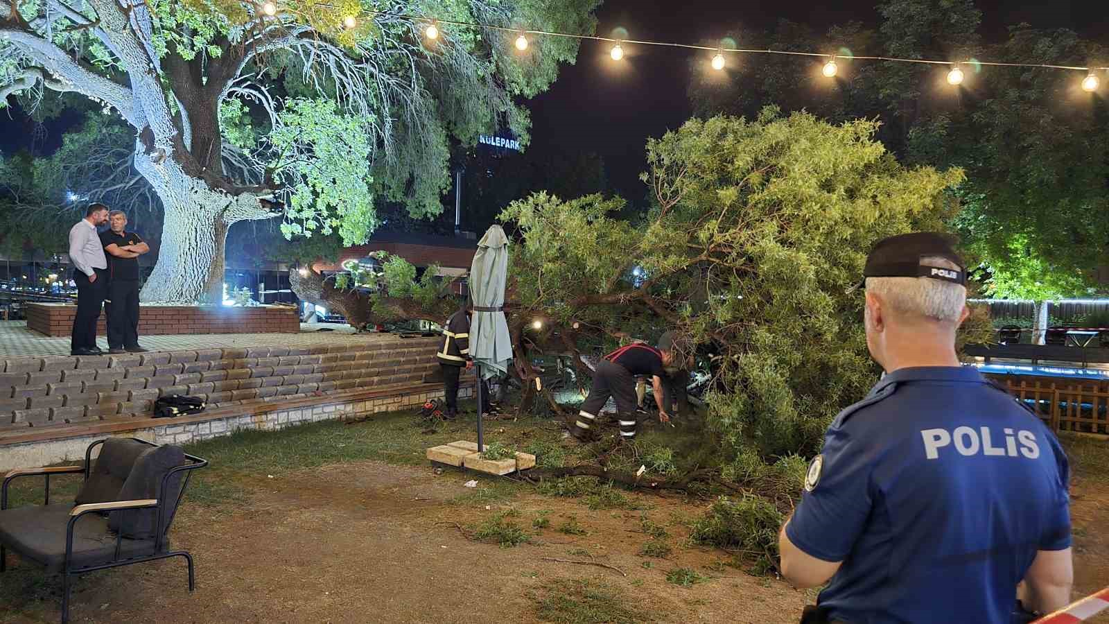 Asırlık çınar ağacının kopan dalı 4 kişiyi yaraladı 
