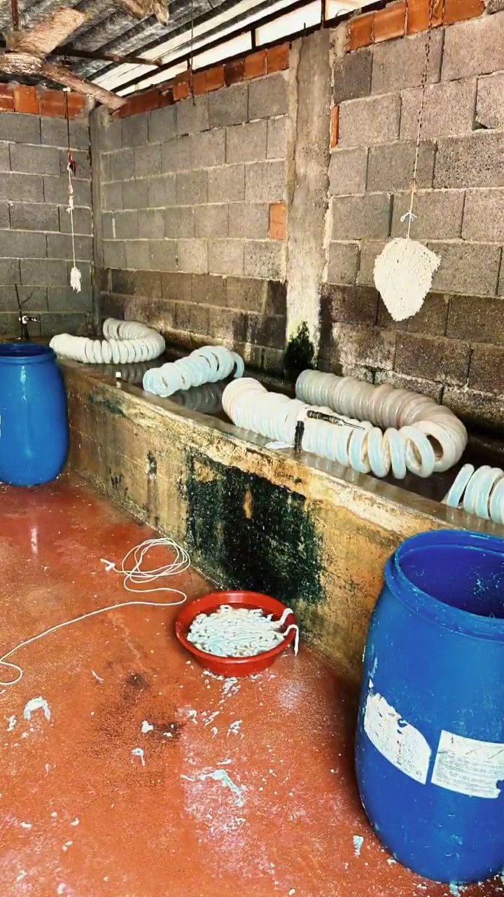 Adana’da binlerce kilo paça ele geçirildi 