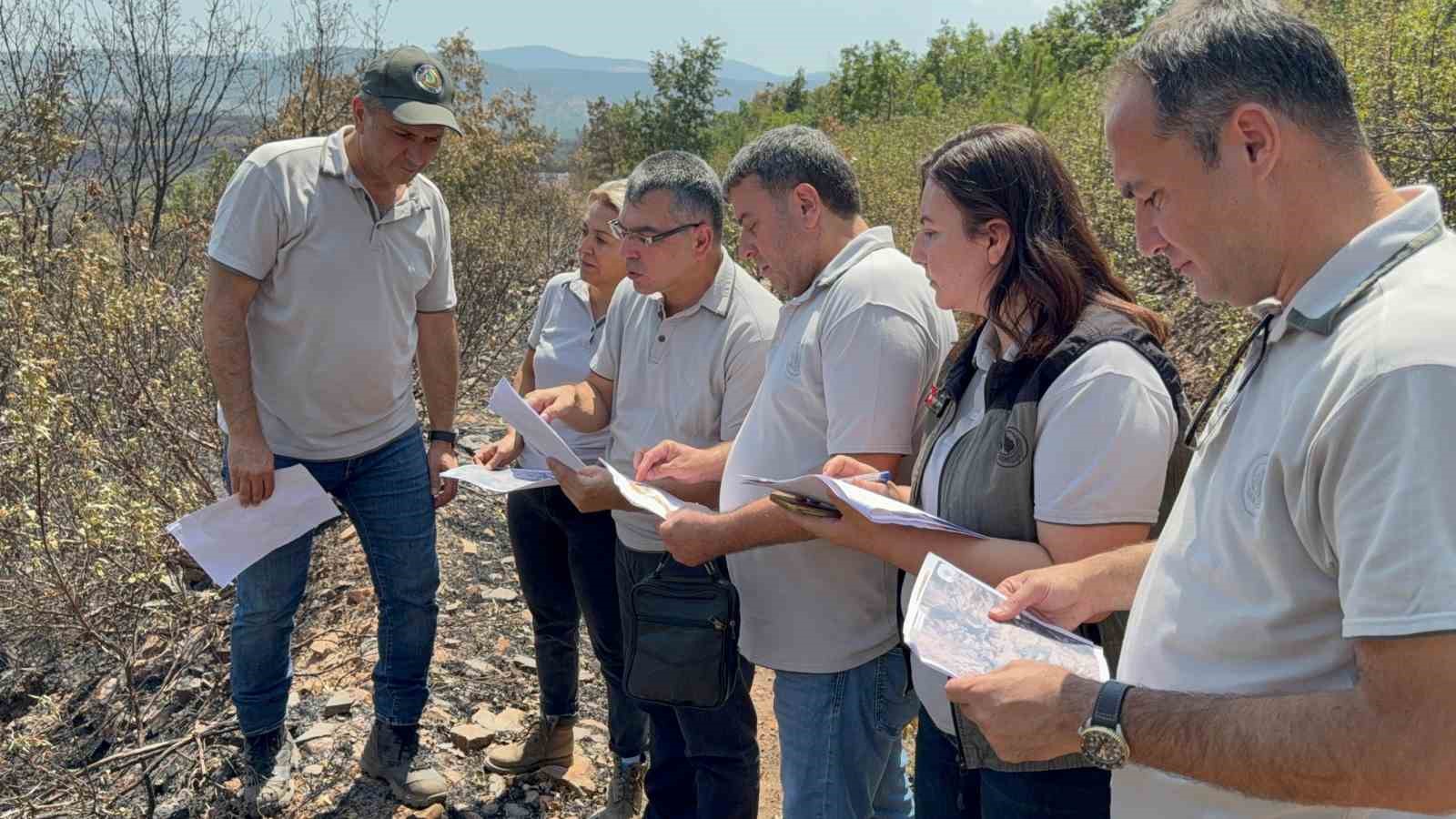 Orman yangınında zarar gören alanlar için yeşillendirme çalışması başlatıldı 
