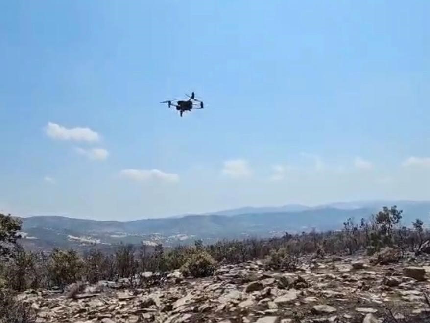 Orman yangınında zarar gören alanlar için yeşillendirme çalışması başlatıldı 