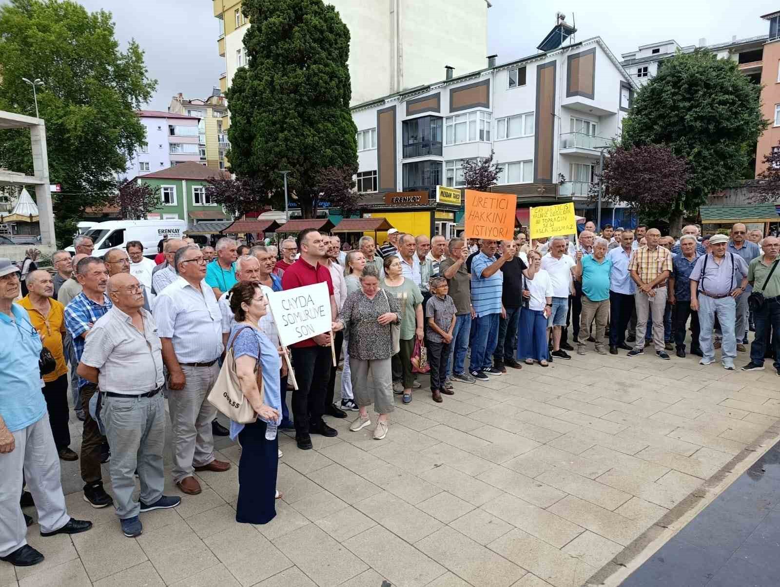 Eynesil’de çay üreticilerinden tepki: 