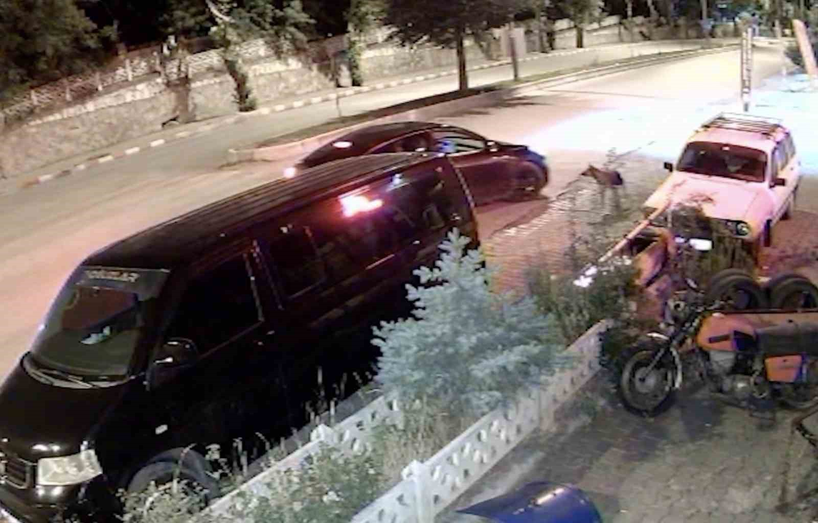 Köpeği önce aracıyla ezmeye çalıştı ardından tüfekle vurarak felç bıraktı 