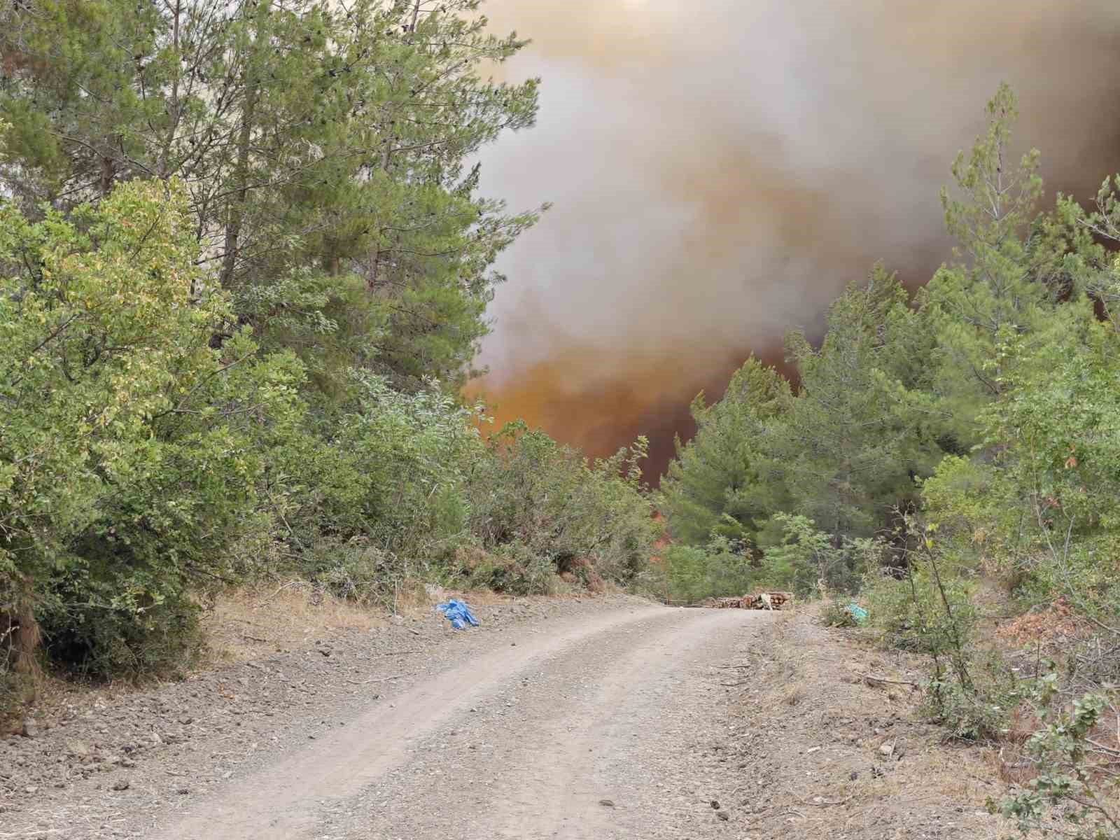 Bursa’da orman yangını kontrol altına alındı 