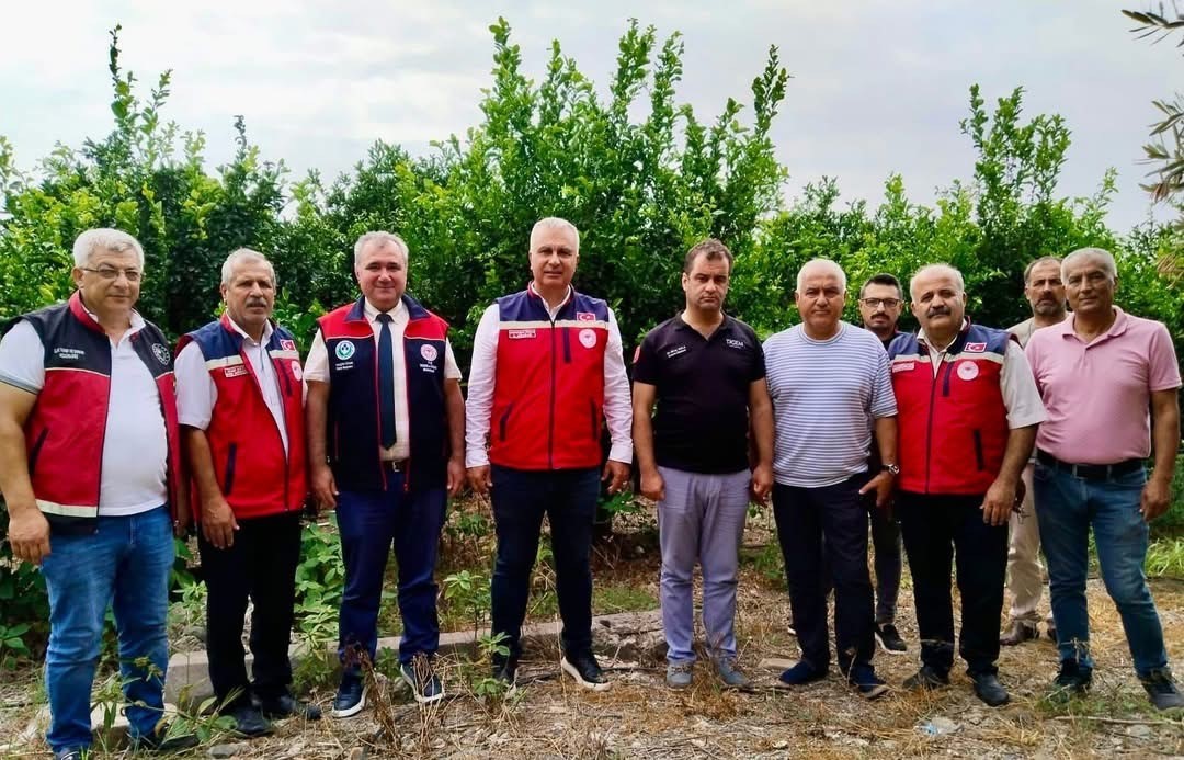Hatay’da narenciye bahçeleri zararlı organizmalara karşı incelendi 