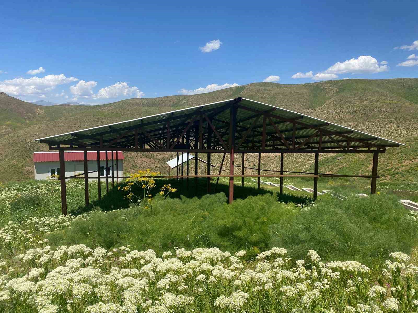 Siirt’te mera ıslah projesi hayata geçirildi 