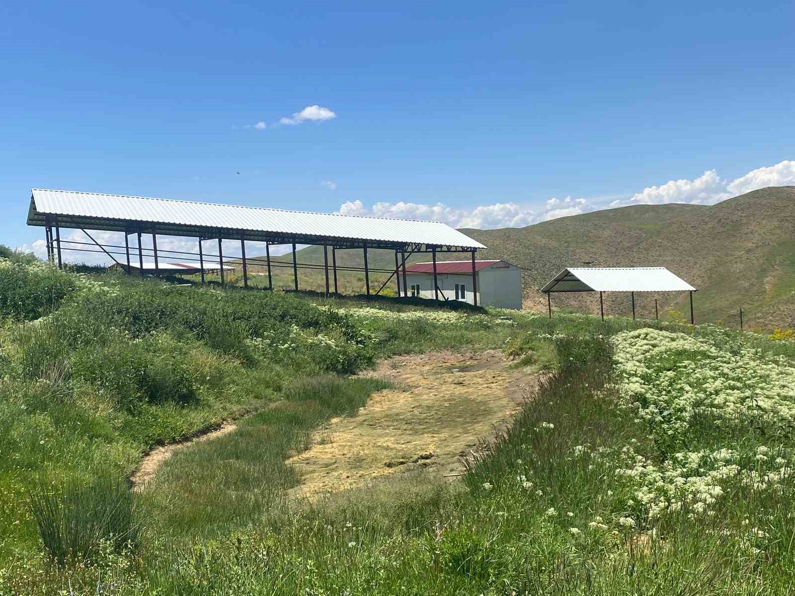 Siirt’te mera ıslah projesi hayata geçirildi 