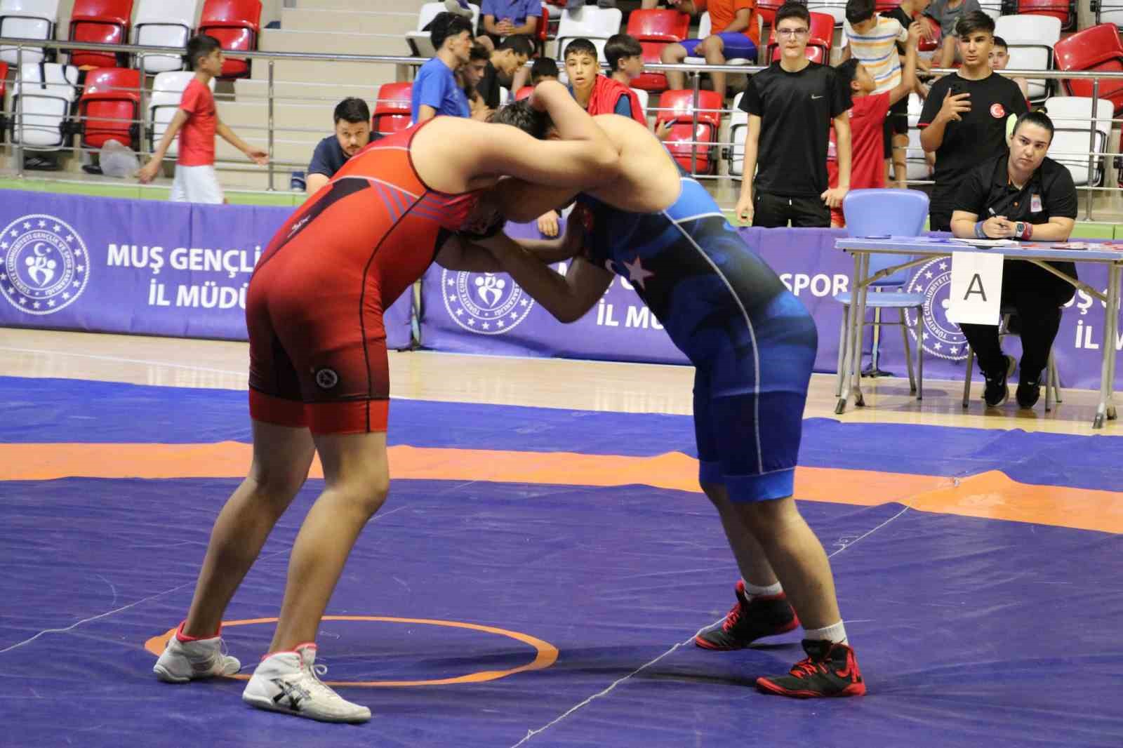 Muş’ta 17 ilden 250 sporcu minderde buluştu 