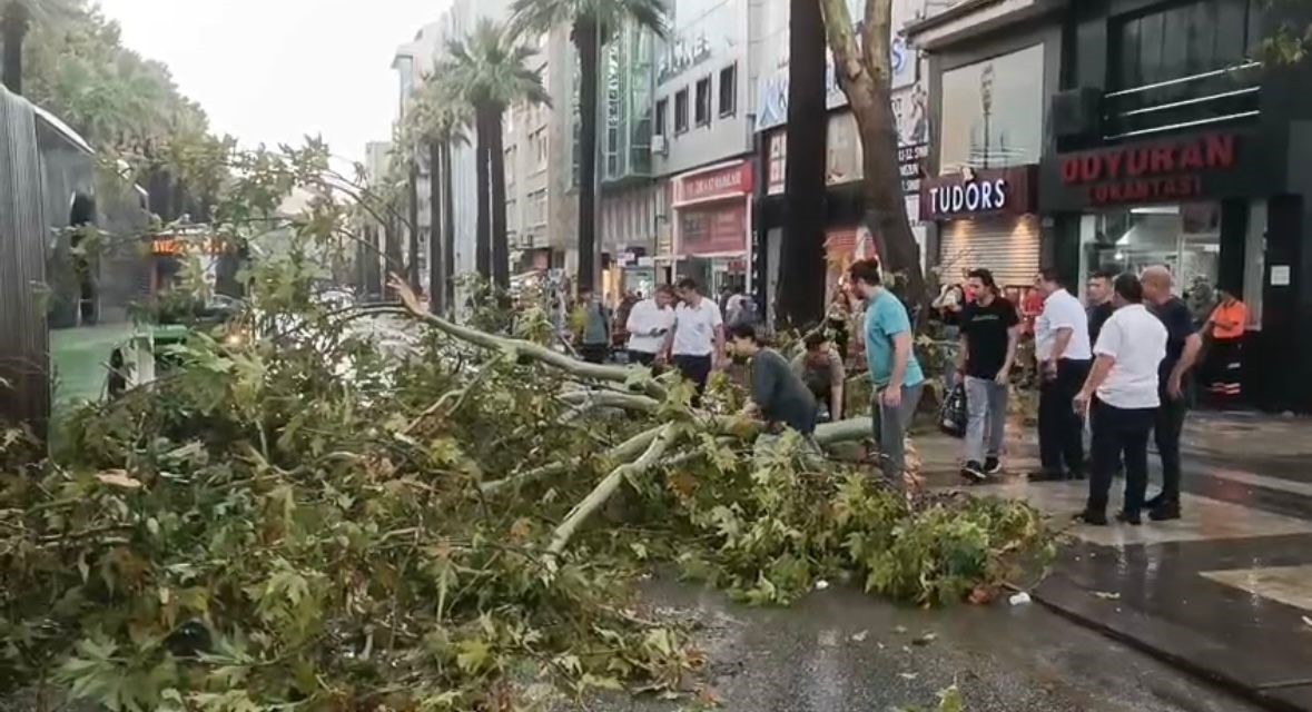 Üzerine ağaç devrilen belediye otobüsünde can pazarı 