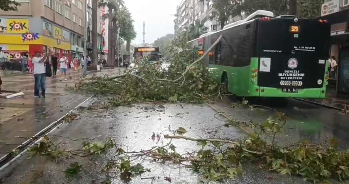 Üzerine ağaç devrilen belediye otobüsünde can pazarı 