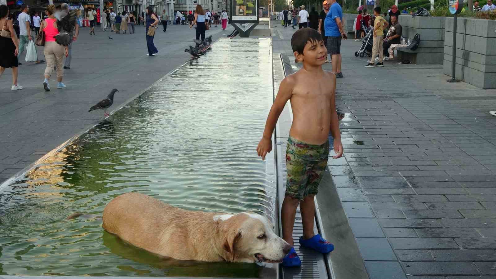 Taksim’de sıcak havadan bunalan çocuk ve köpek süs havuzunda serinledi 