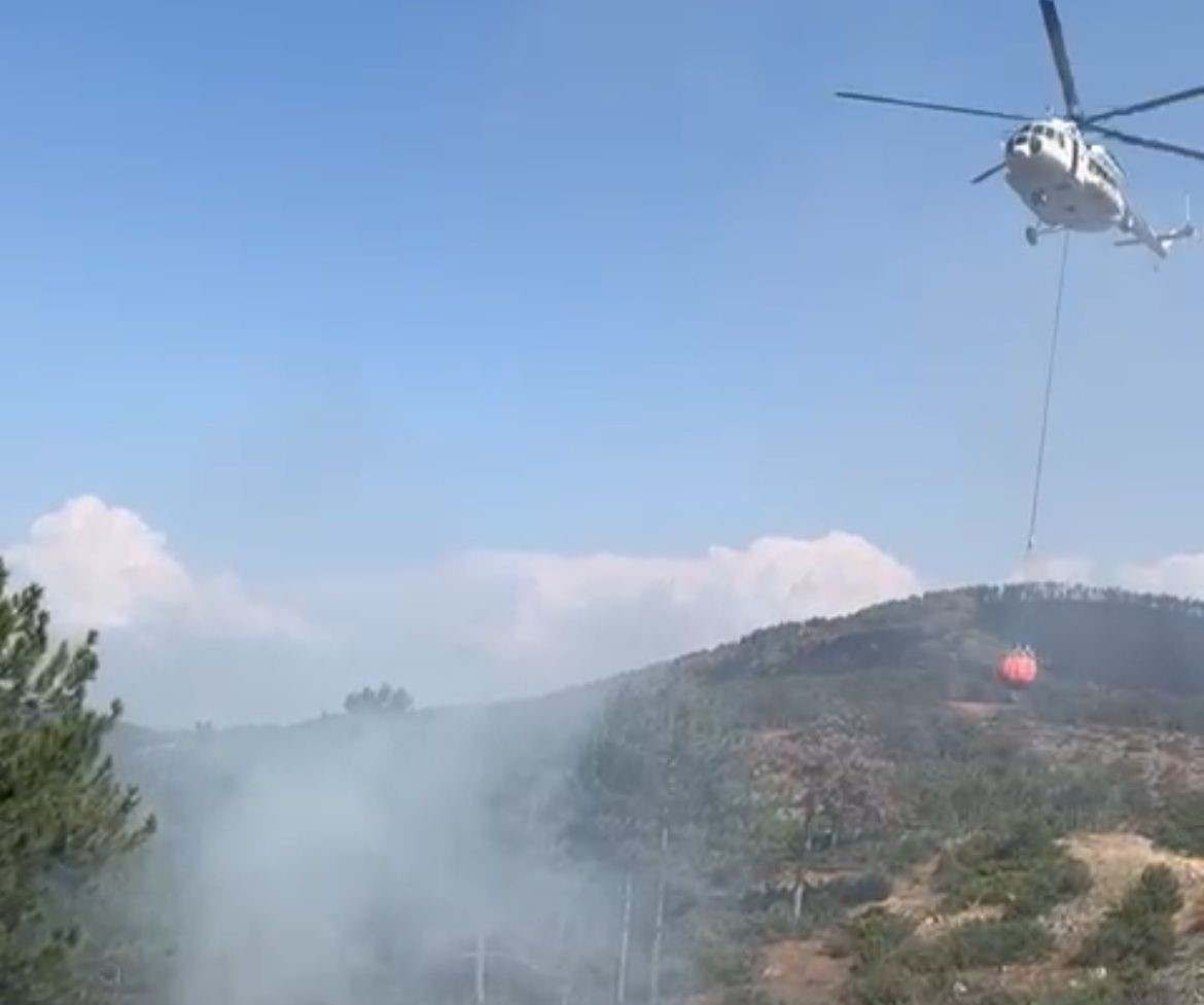 Duyarlı vatandaşlar sayesinde yangının büyümesi önlendi 