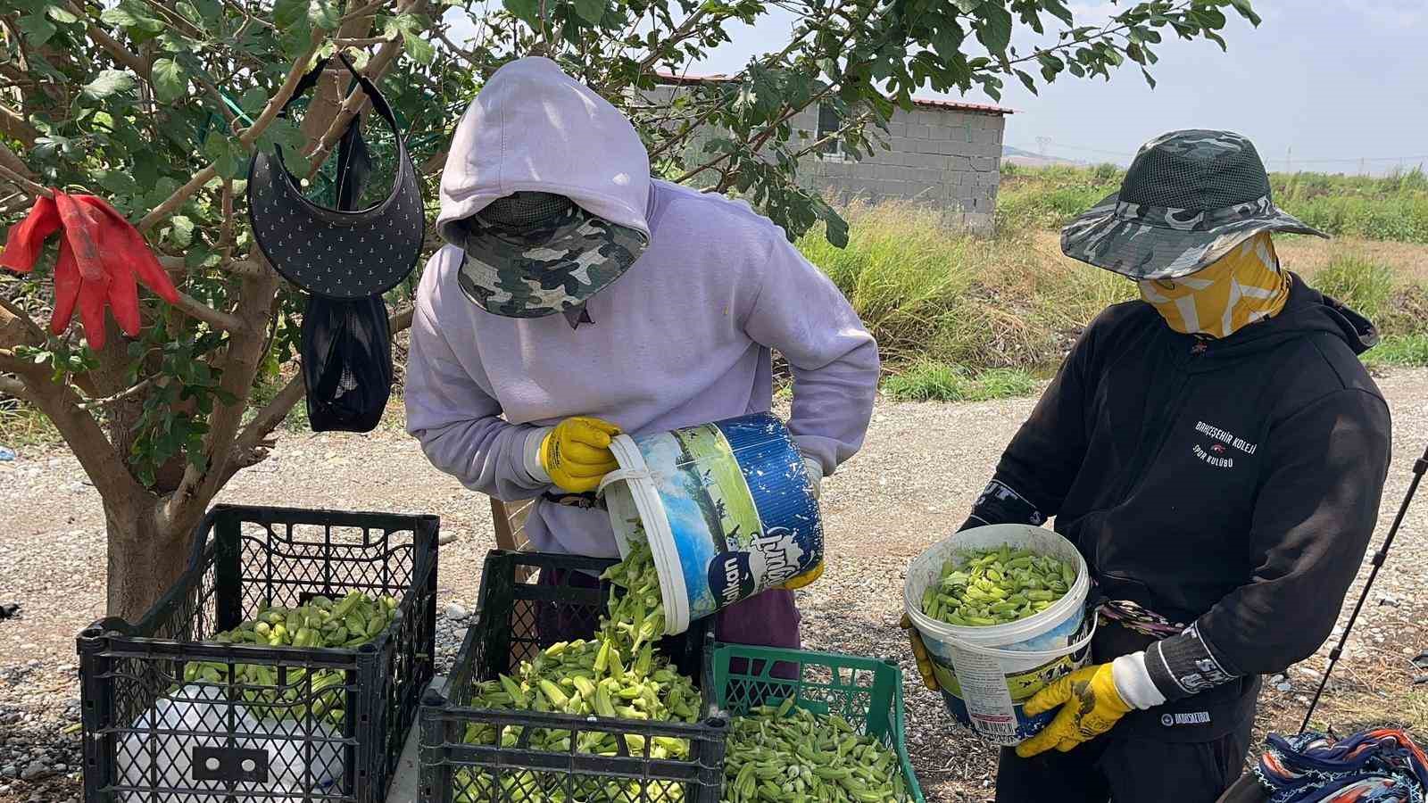 Osmaniye’de doğa ve hayvan sevgisi aynı toprakta filizleniyor 