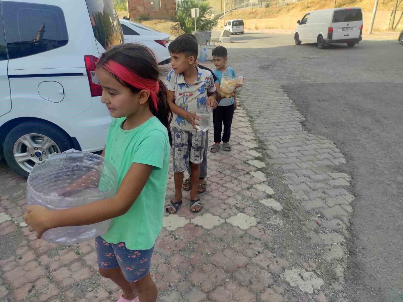Çocuklar yüksek sıcaktan etkilenen sokak hayvanları için su ve yiyecek bıraktı 