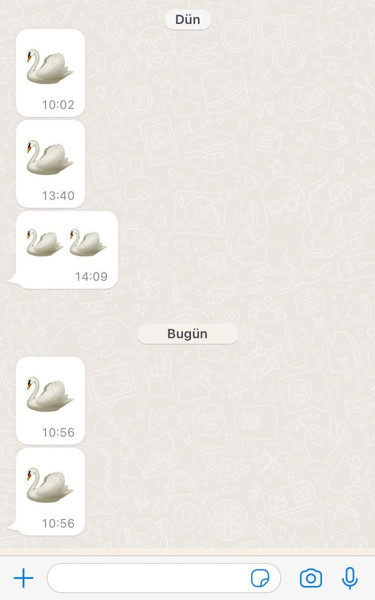 Bolu’da ‘kuğu’ emojisiyle doktorların rüşvet iddiasında yeni gelişme 