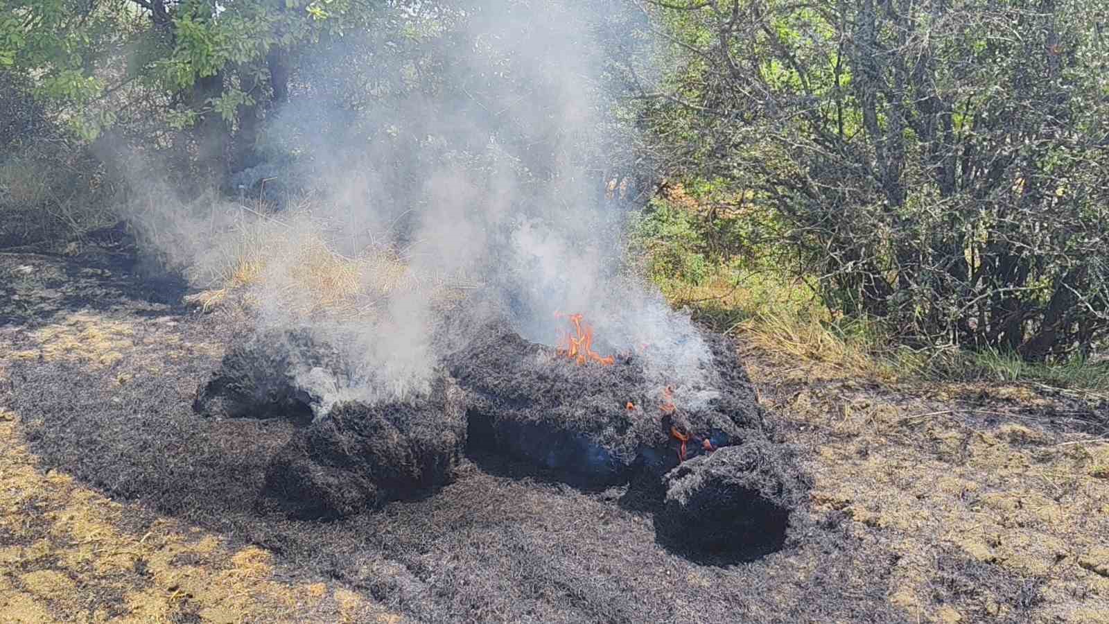 Karabük’te anız yangını kontrol altına alındı 