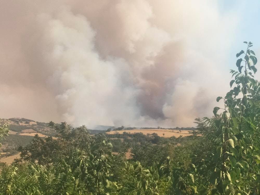 Balıkesir’de arazi yangını 