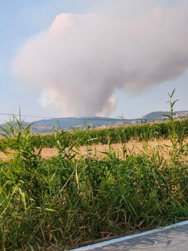 Balıkesir’de arazi yangını 