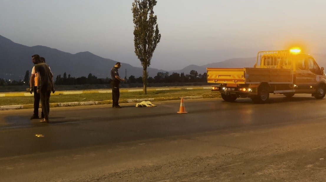 Erzincan-Erzurum kara yolunda duygulandıran görüntü 