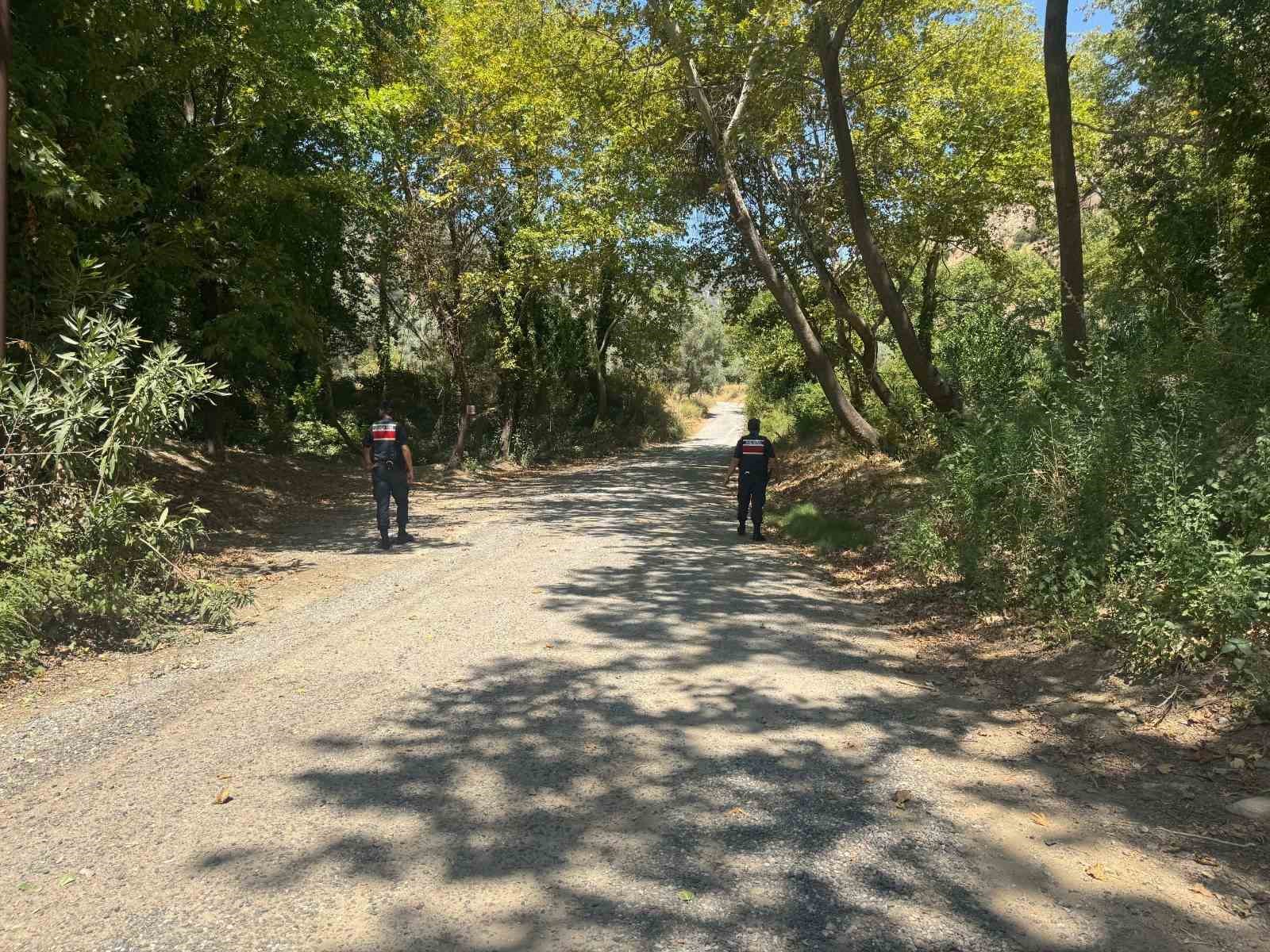 Aydın’da ormanlar jandarma gözetiminde 