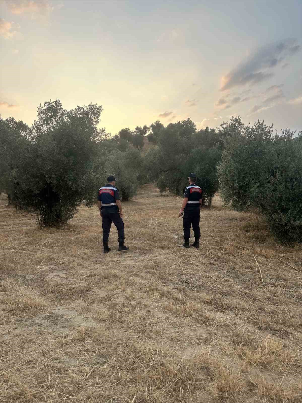 Aydın’da ormanlar jandarma gözetiminde 