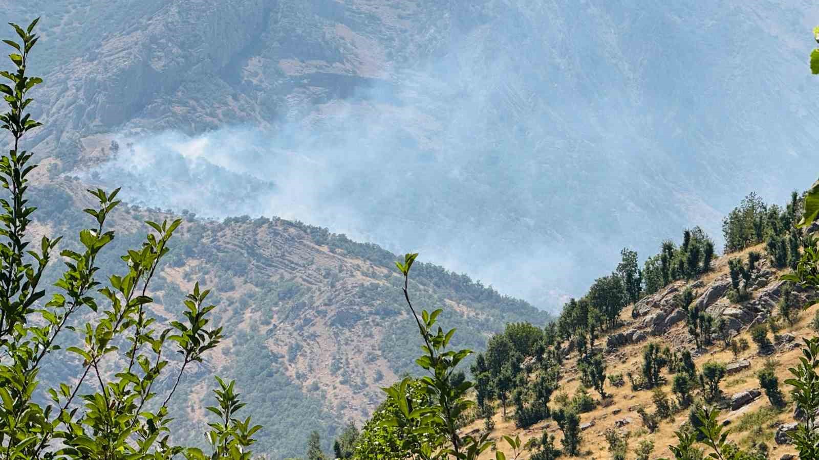 Şırnak’ta orman yangını: Alevler kontrol altına alınamıyor 